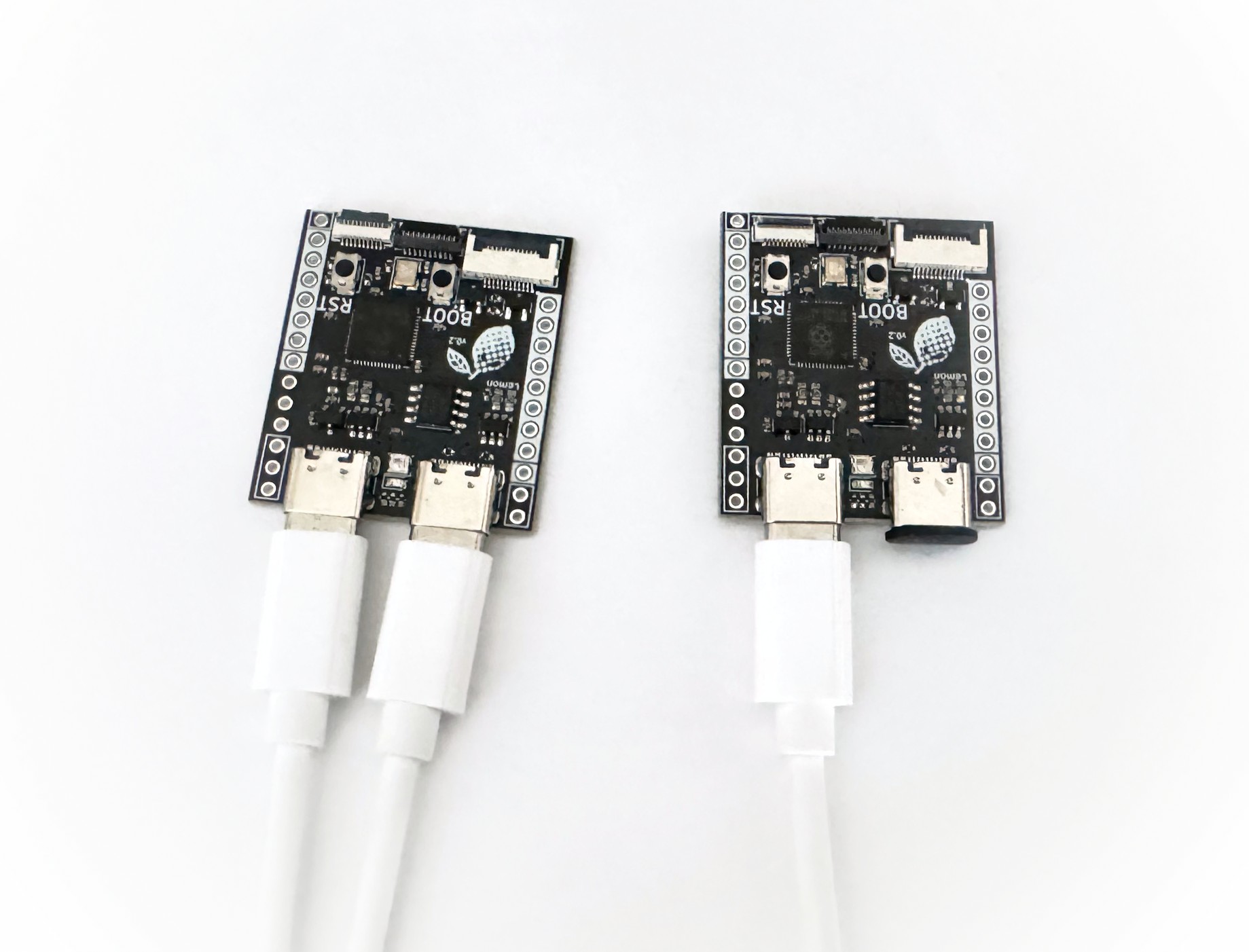 Two lemon microcontrollers side by side, one with two cables and the other using a cable and dust plug